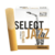 Palheta de Sax Alto Select Jazz 2S - 2M - 2H - 3S - 3M - 3H. Emariano. Loja de instrumentos musicais em Barueri