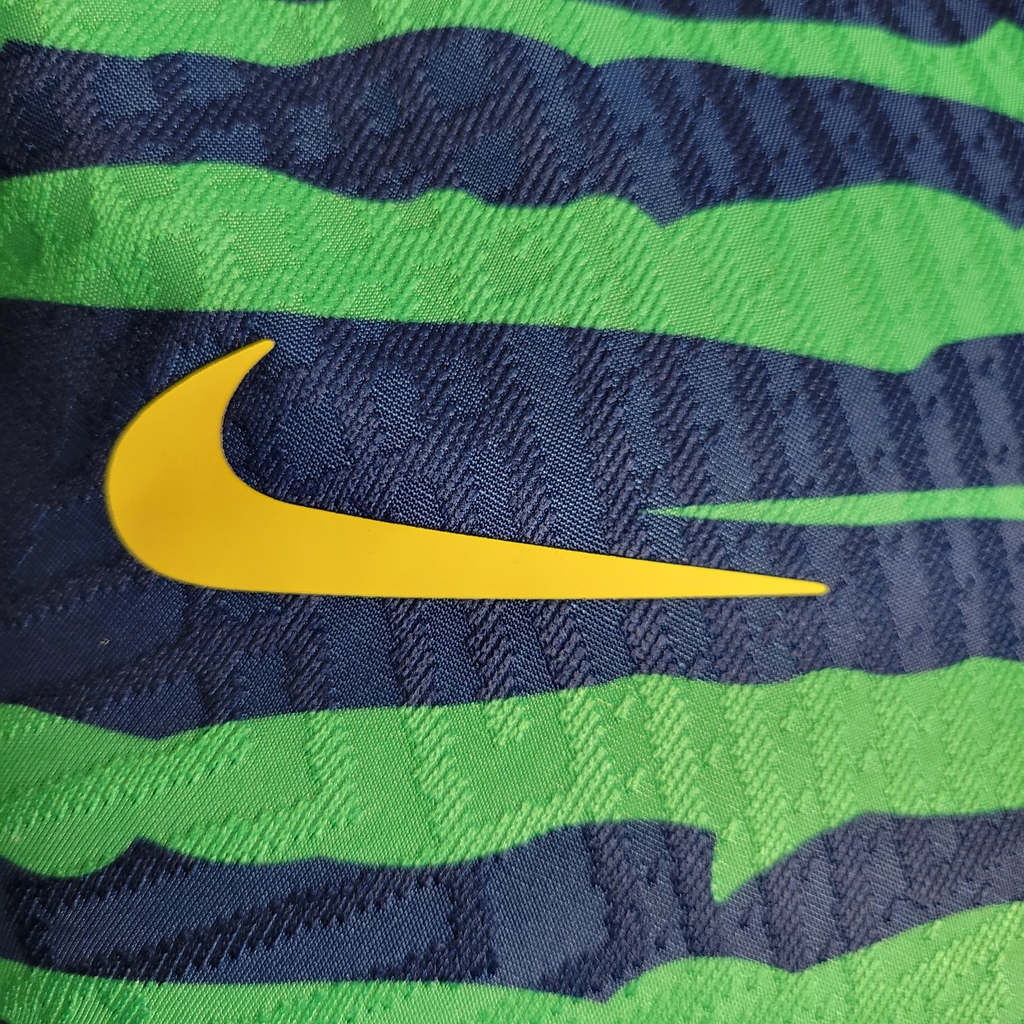 Camisa Seleção Brasileira Pré-Jogo 2022 Torcedor Nike Masculina - Azul e  Verde