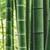 Vela Bamboo - 110g - comprar online