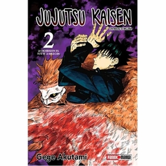 Jujutsu Kaisen #02