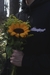 MOLETOM SUNFLOWER PRETO - comprar online