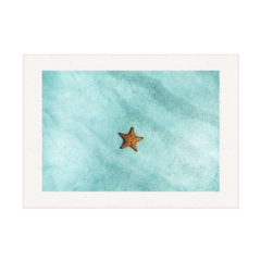 QUADRO ESTRELA DO MAR