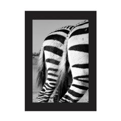 QUADRO BUMBUM DE ZEBRA