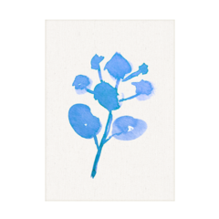 QUADRO BLUE PLANT I