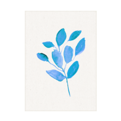 QUADRO BLUE PLANT II