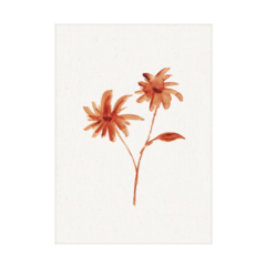 QUADRO RED FLOWER