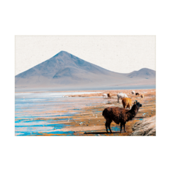 QUADRO ATACAMA