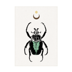 QUADRO MYSTICAL BEETLE