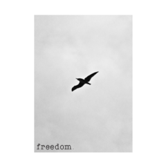 QUADRO FREEDOM