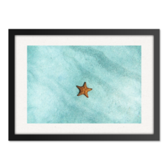 QUADRO ESTRELA DO MAR na internet