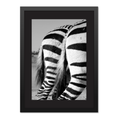 QUADRO BUMBUM DE ZEBRA na internet