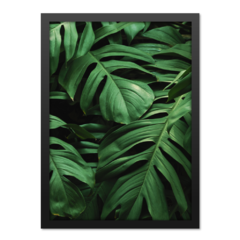 QUADRO MONSTERA III na internet