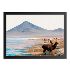 QUADRO ATACAMA na internet