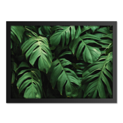 QUADRO MONSTERA I na internet