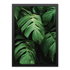 QUADRO MONSTERA II na internet