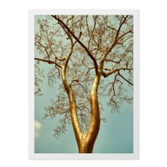 QUADRO GOLDEN TREE - corah.store