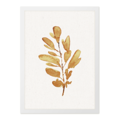 QUADRO GOLDEN PLANT - corah.store