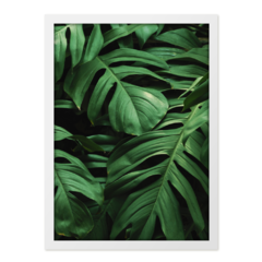 QUADRO MONSTERA III - corah.store