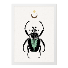 QUADRO MYSTICAL BEETLE - corah.store