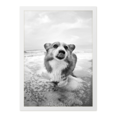 QUADRO DOG PRAIANO - corah.store