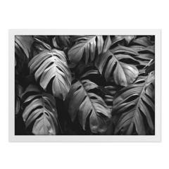 QUADRO MONSTERA PEB - corah.store