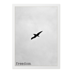 QUADRO FREEDOM - corah.store