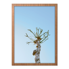 QUADRO ABSTRACT TREE - loja online