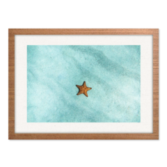 QUADRO ESTRELA DO MAR - loja online