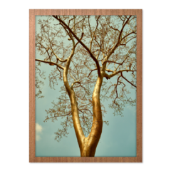 QUADRO GOLDEN TREE - loja online