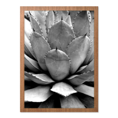 QUADRO AGAVE - loja online