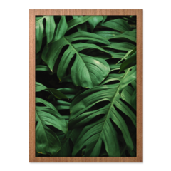 QUADRO MONSTERA III - loja online