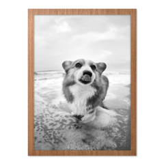 QUADRO DOG PRAIANO - loja online