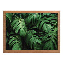 QUADRO MONSTERA I - loja online