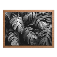 QUADRO MONSTERA PEB - loja online