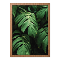 QUADRO MONSTERA II - loja online