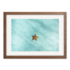 Imagem do QUADRO ESTRELA DO MAR