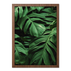 Imagem do QUADRO MONSTERA III