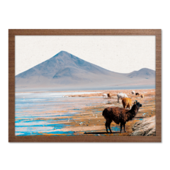 Imagem do QUADRO ATACAMA