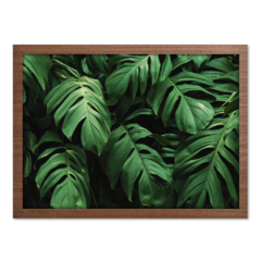 Imagem do QUADRO MONSTERA I