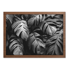 Imagem do QUADRO MONSTERA PEB