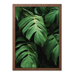 Imagem do QUADRO MONSTERA II