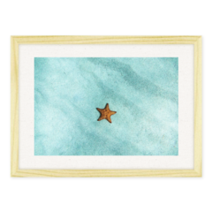 QUADRO ESTRELA DO MAR