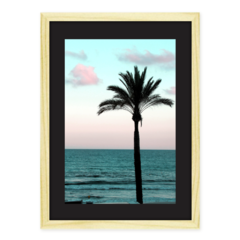 QUADRO PALM TREE