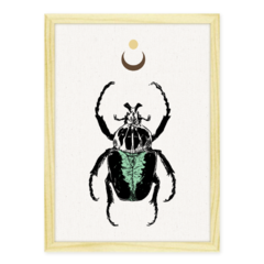 QUADRO MYSTICAL BEETLE