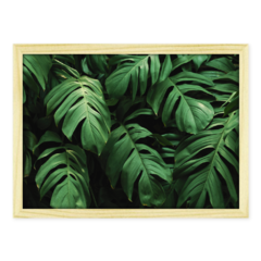 QUADRO MONSTERA I