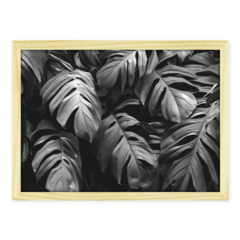 QUADRO MONSTERA PEB