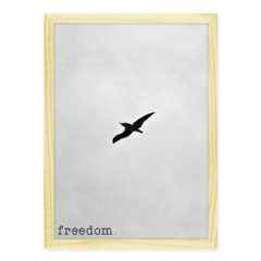 QUADRO FREEDOM