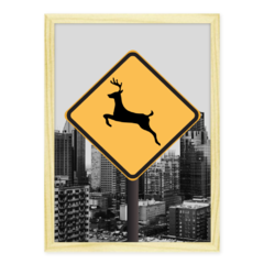 QUADRO DEER