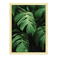 QUADRO MONSTERA II