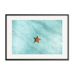 QUADRO ESTRELA DO MAR - comprar online